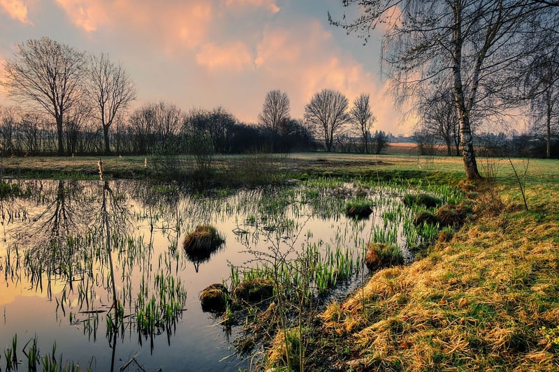 Water Conservation Tips
