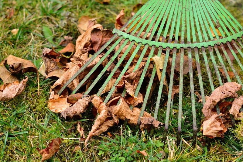 Gardening with Mulch